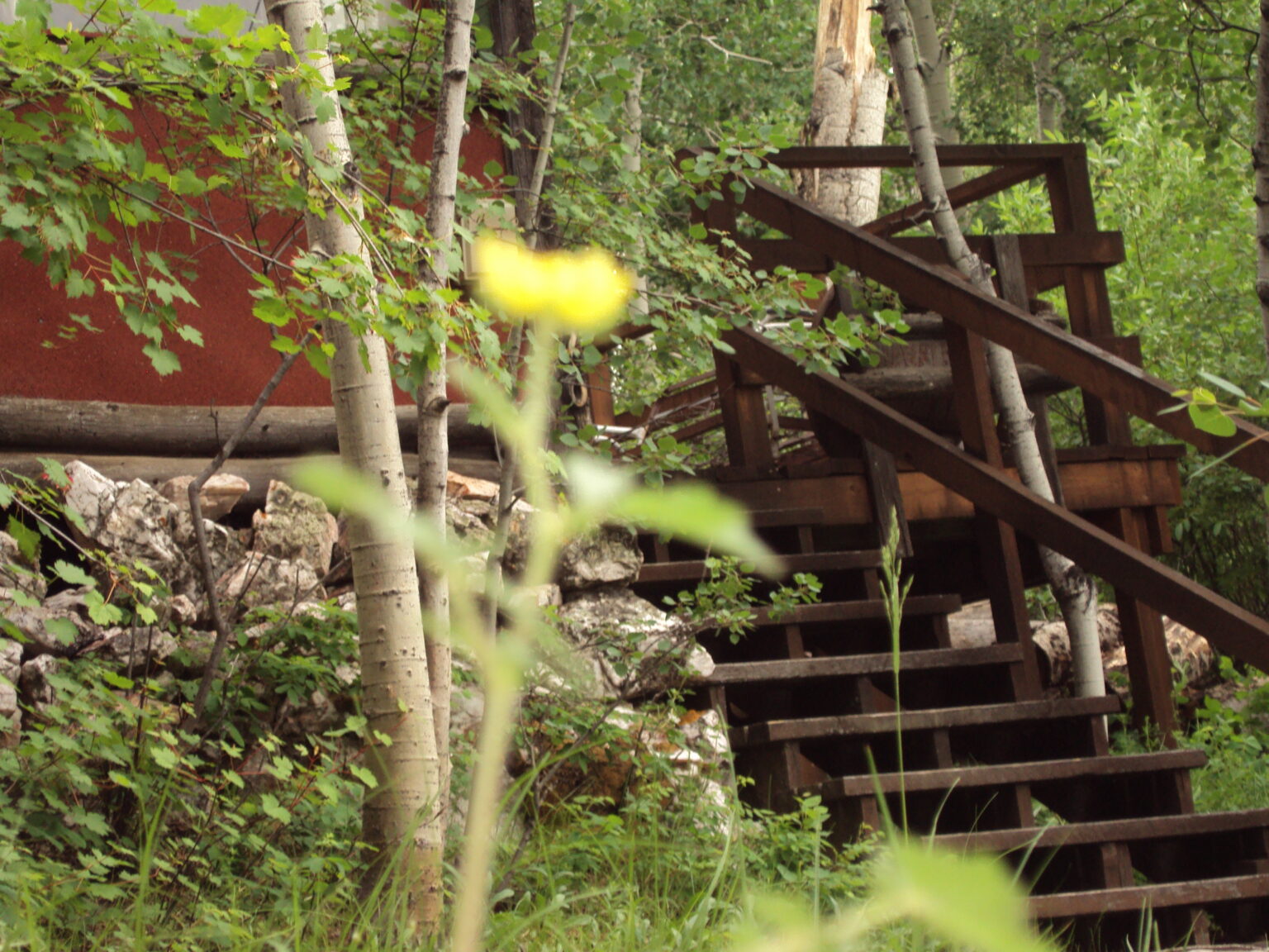Red Feather Lakes Colorado Phoenix Pop Up Campers